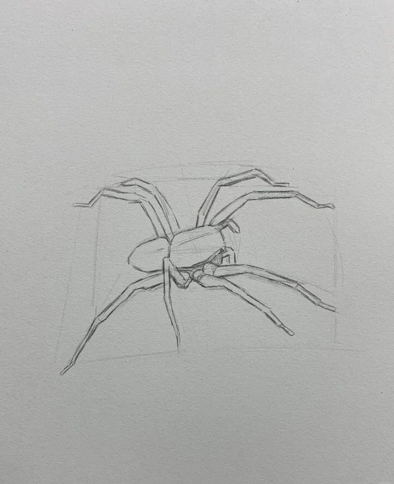 How to draw a easy Spider 1