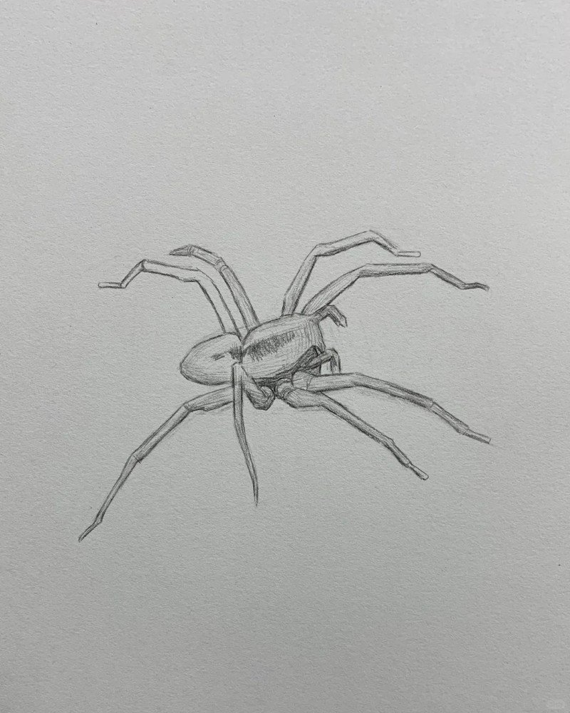 How to draw a easy Spider 2