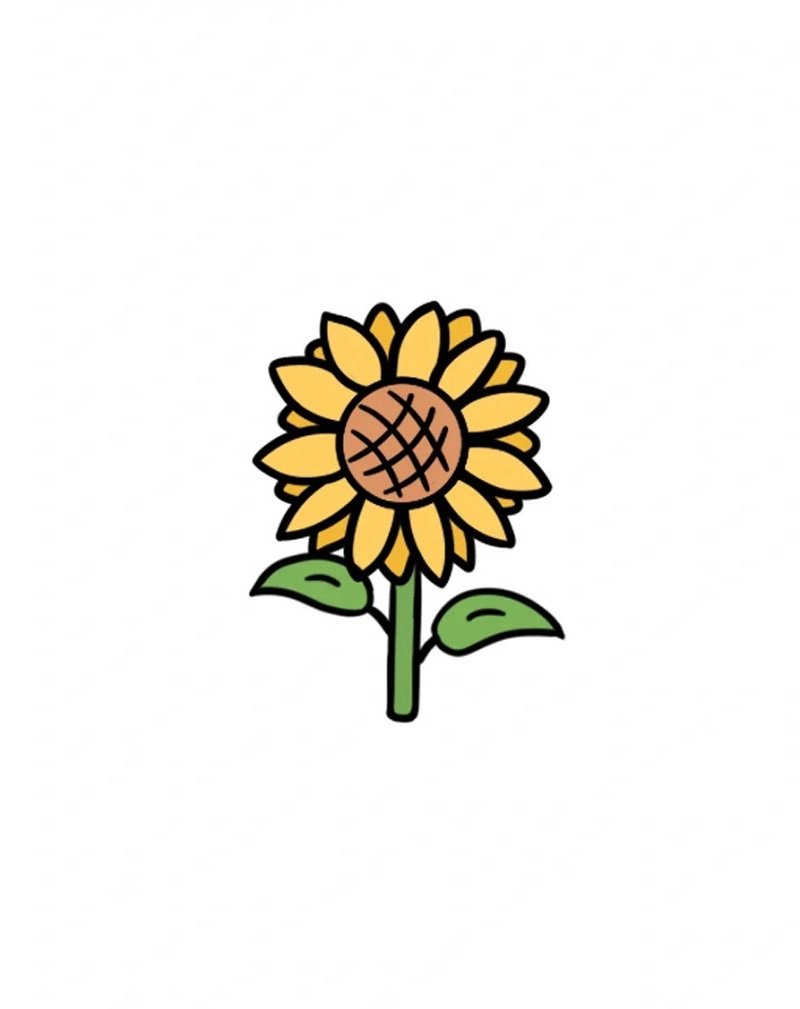 How to draw a easy sunflower