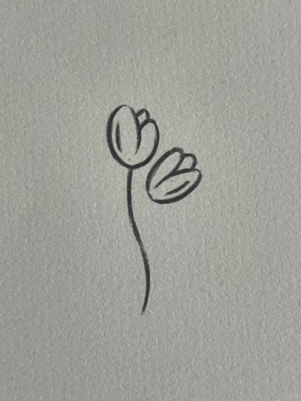 How to draw a easy tulip 2