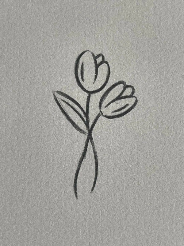 How to draw a easy tulip 3