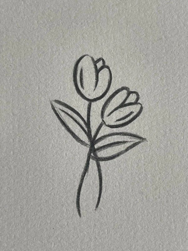 How to draw a easy tulip 4