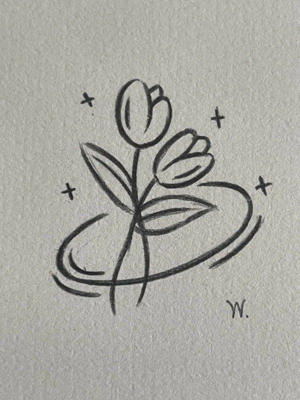 How to draw a easy tulip