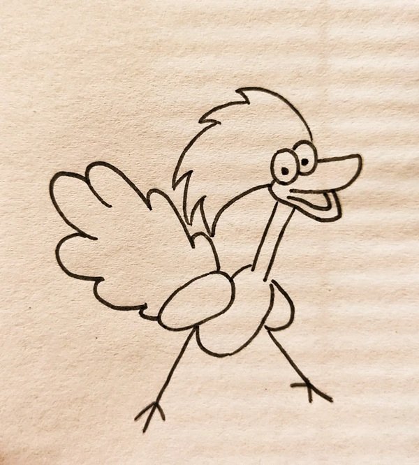 How to draw a easy Turkey