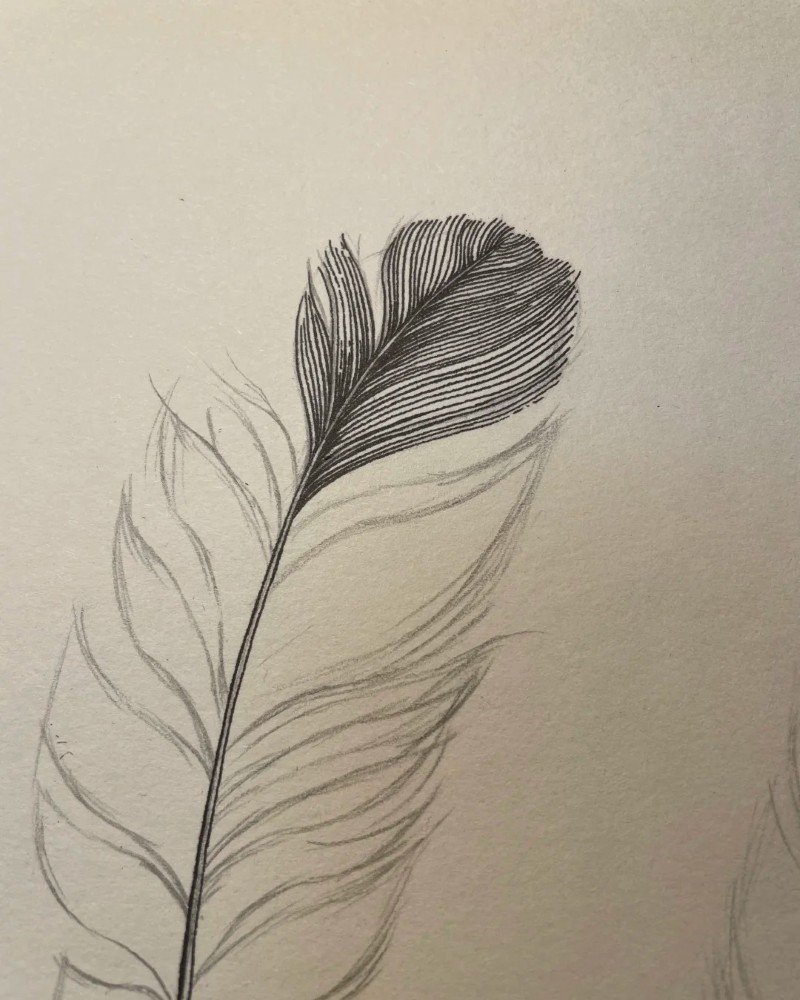 How to draw a feather 2