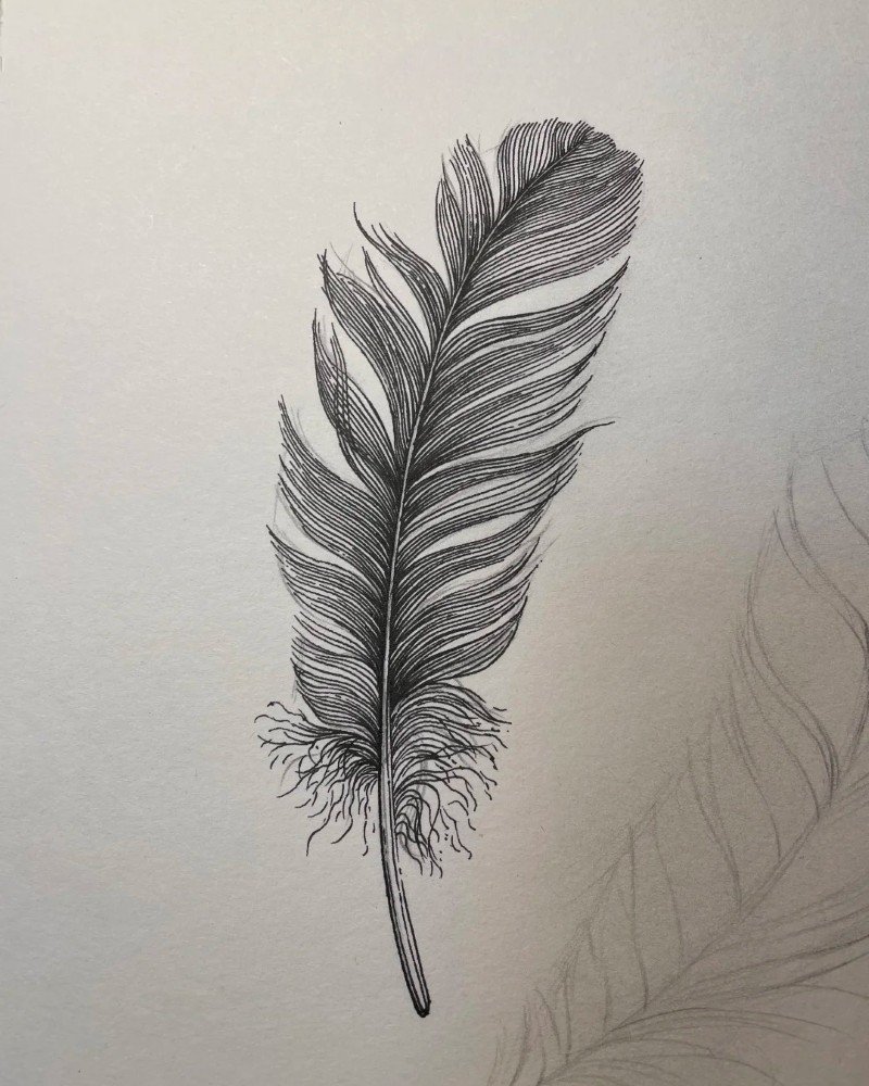 How to draw a feather 3