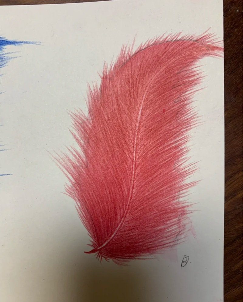 How to draw a feather beautiful
