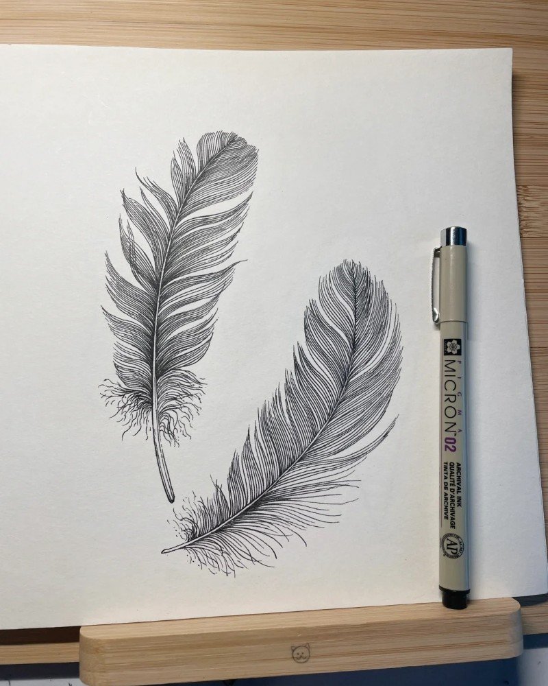 How to draw a feather