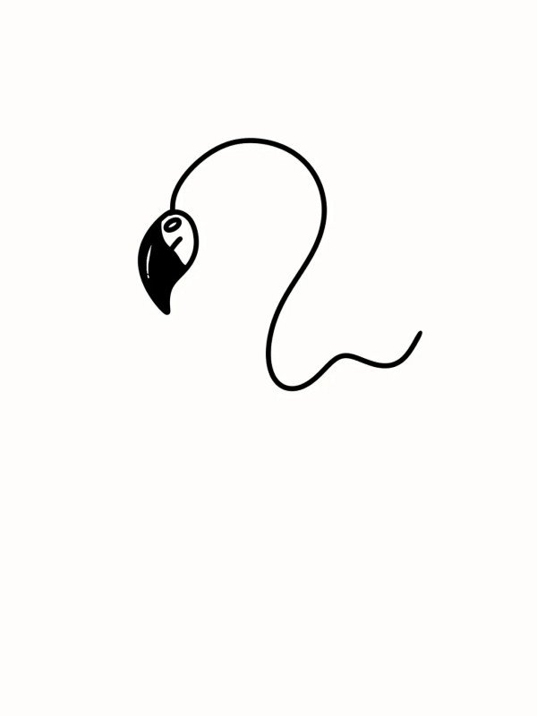 How to draw a flamingo 2