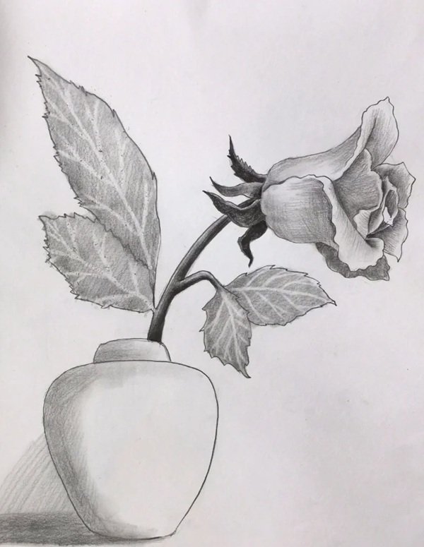 How to draw a flower vase 5