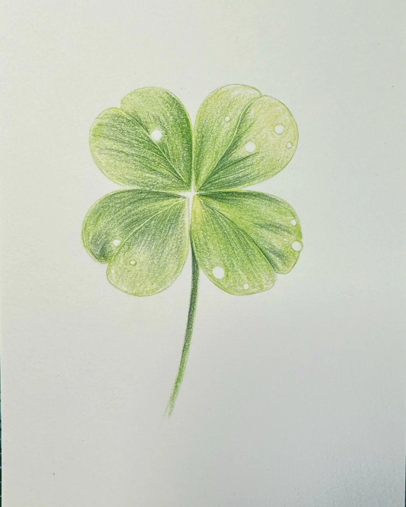 How to draw a four leaf clover for kids 3