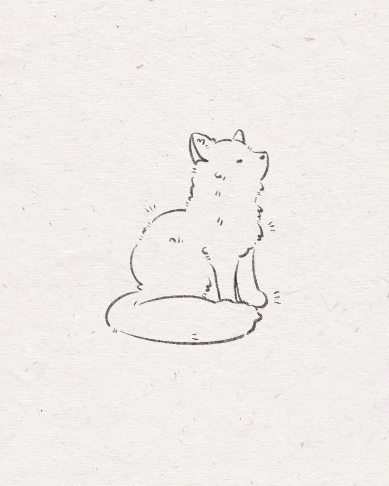 How to draw a fox step by step 3