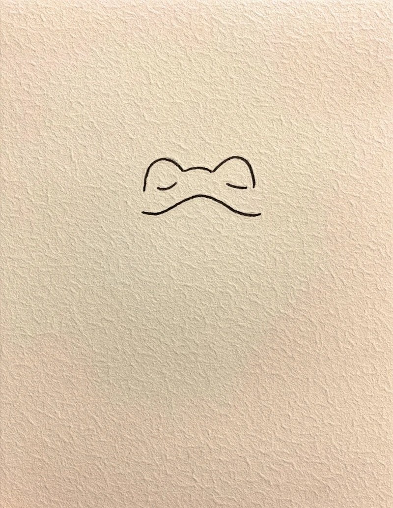 How to draw a frog step by step
