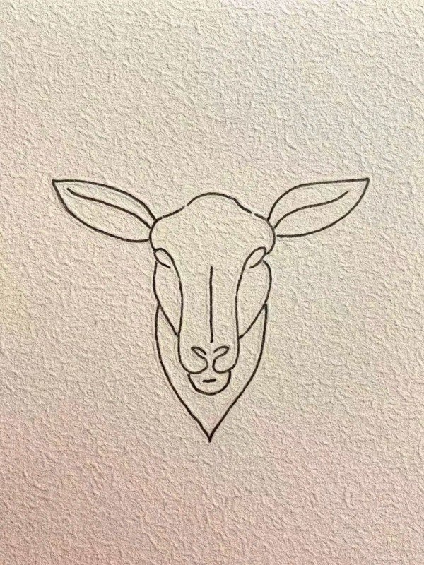 How to draw a goat step by step 5