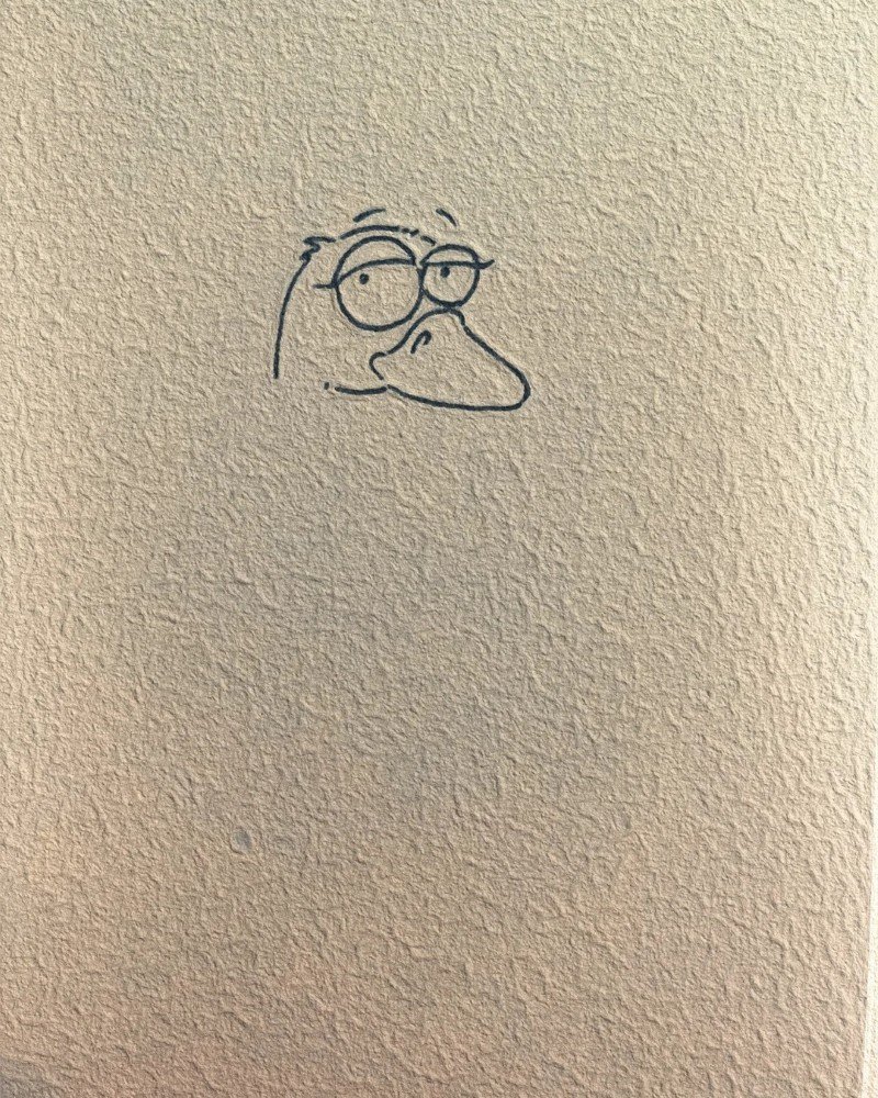 How to draw a goose cute 2