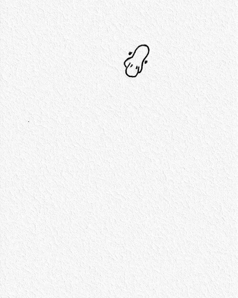 How to draw a goose easy 1