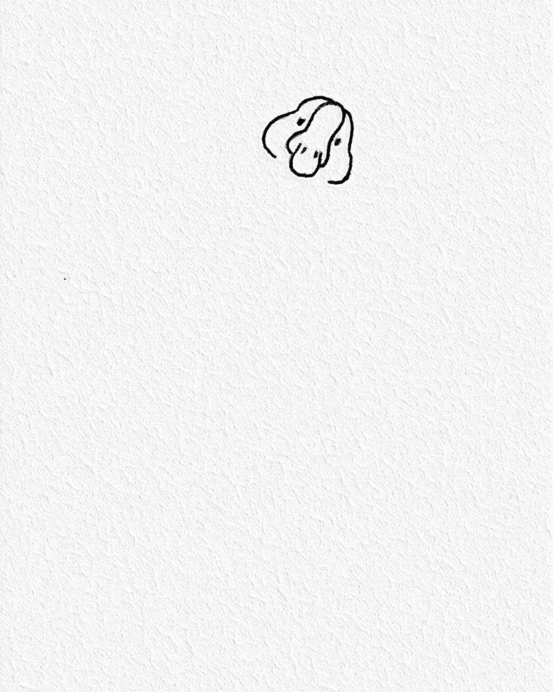 How to draw a goose easy 2