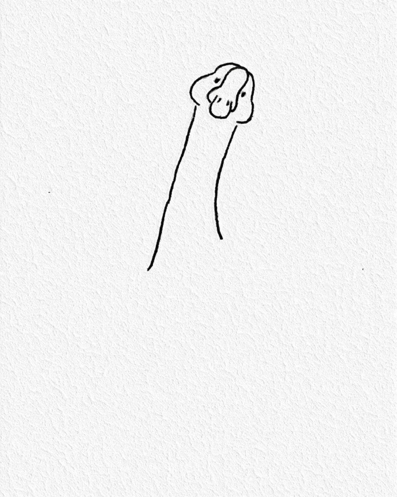 How to draw a goose easy 3