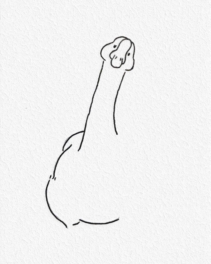 How to draw a goose easy 4