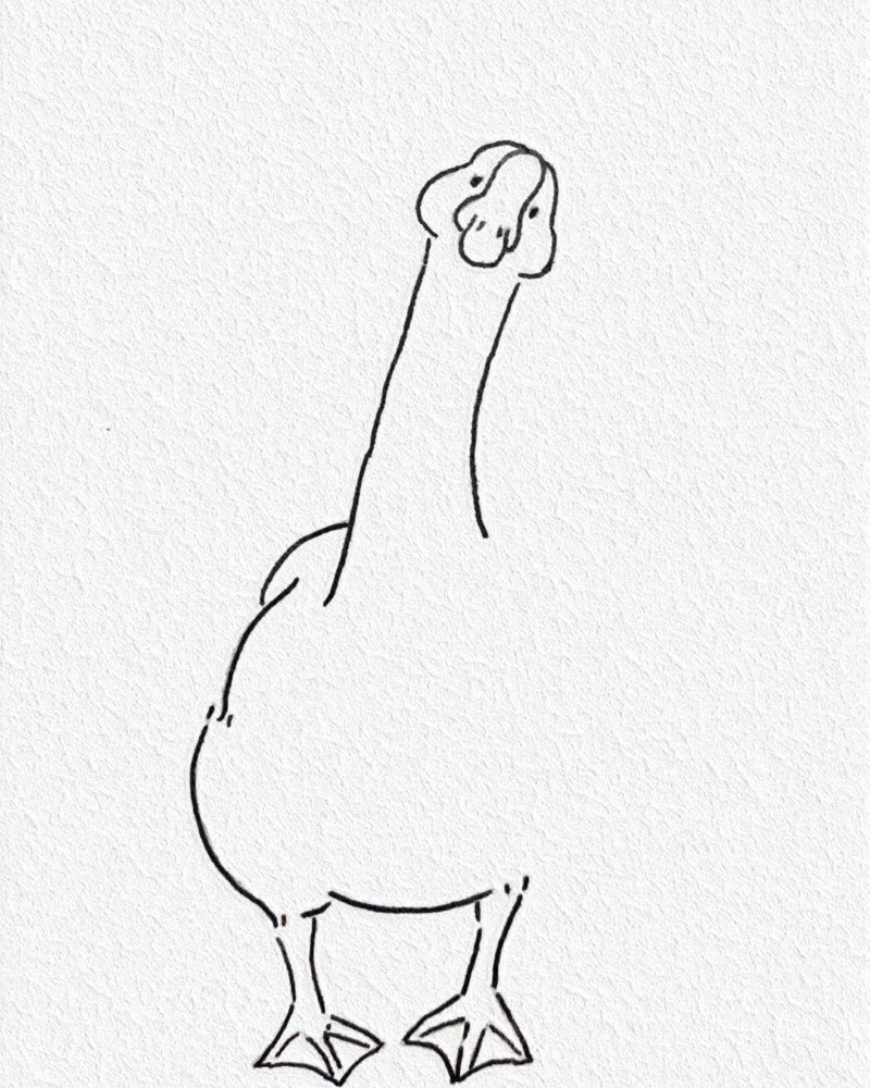 How to draw a goose easy 5 