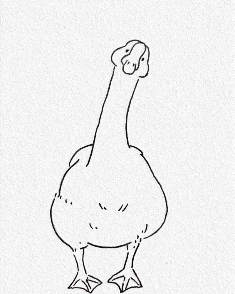 How to draw a goose easy