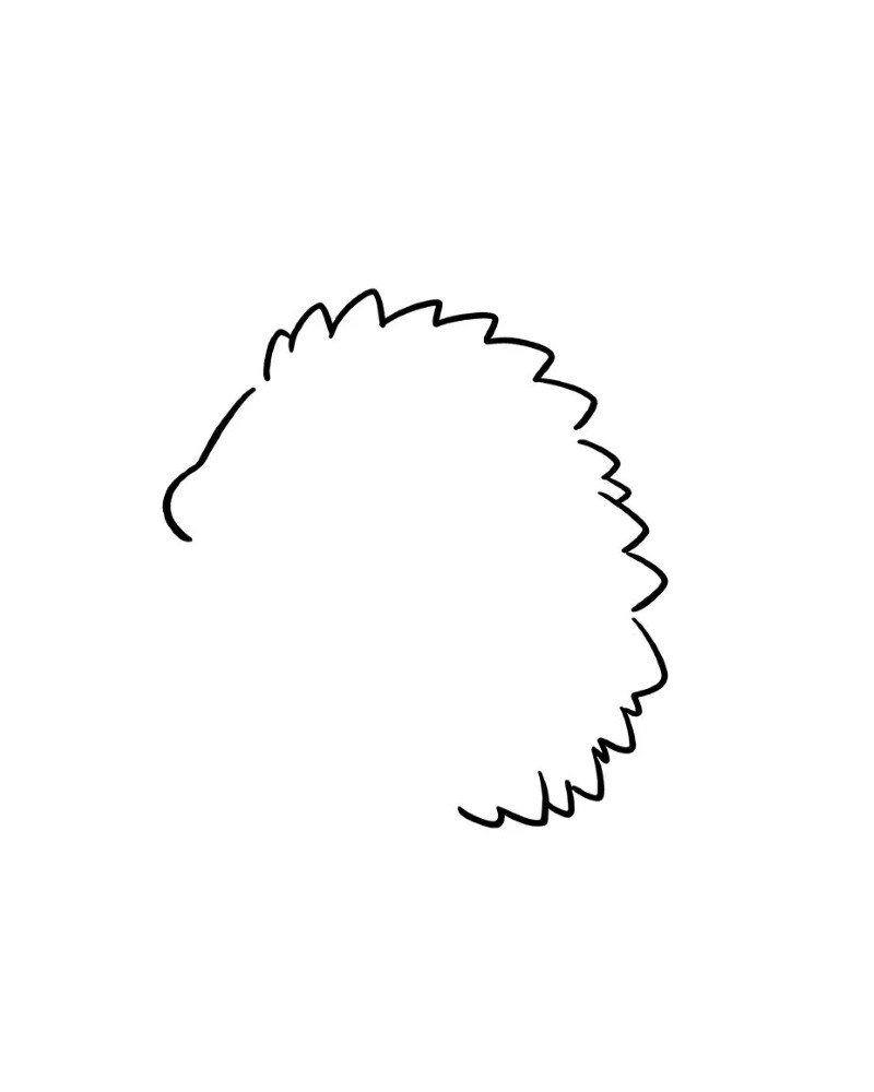 How to draw a Hedgehog cute 1
