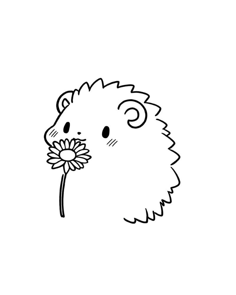 How to draw a Hedgehog cute 3