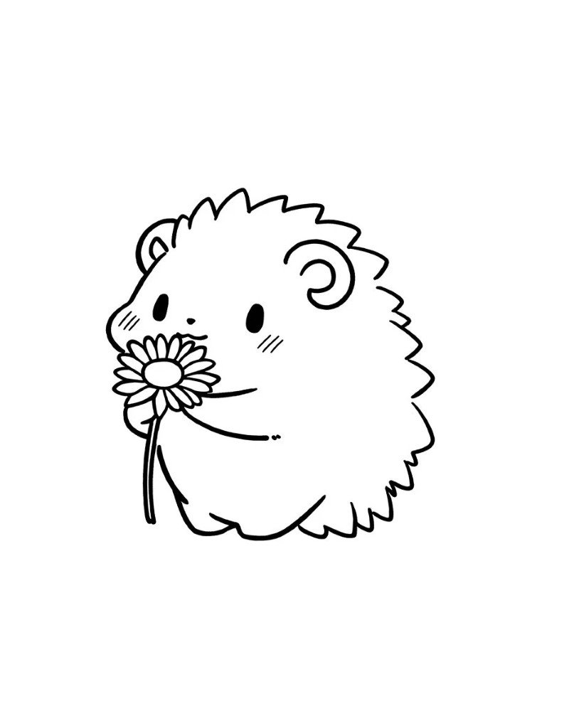 How to draw a Hedgehog cute 4