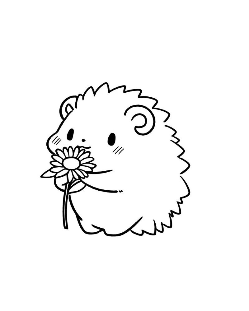 How to draw a Hedgehog cute 5