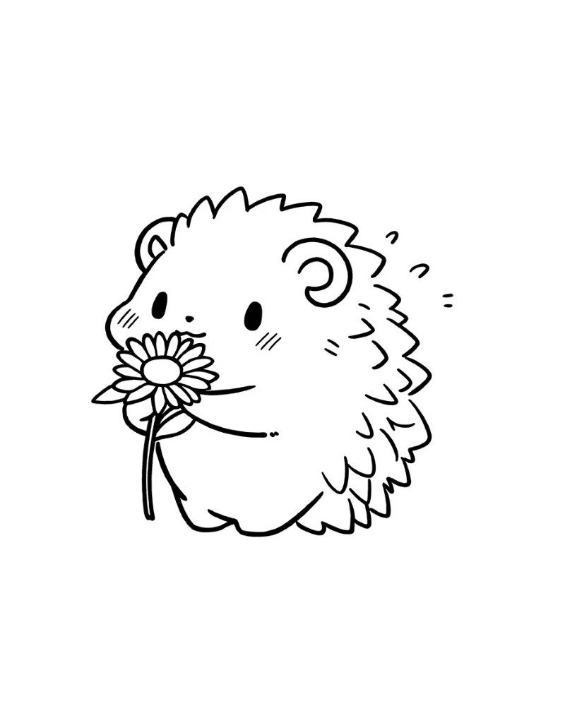 How to draw a Hedgehog cute