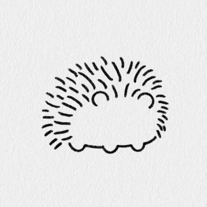 How to draw a Hedgehog 3