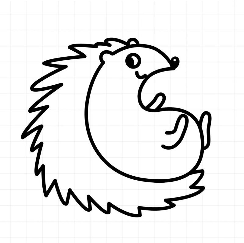 How to draw a Hedgehog step by step 5