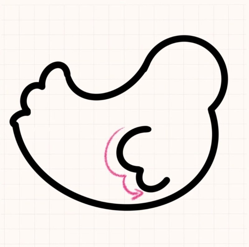 How to draw a hen 3
