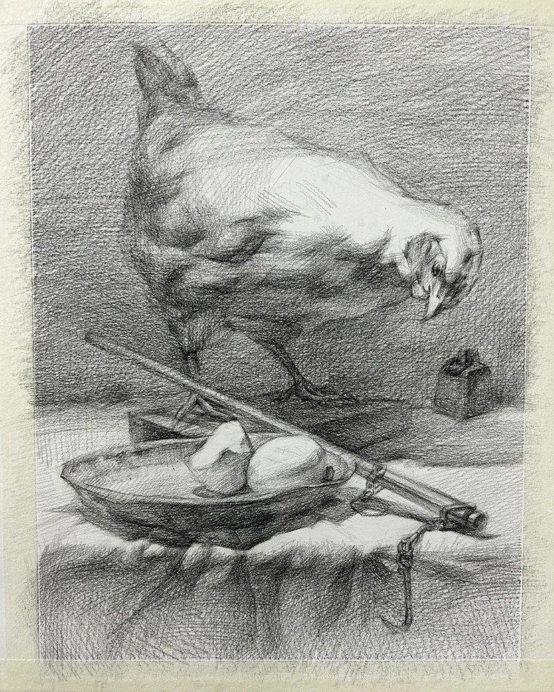 How to draw a hen easy 3