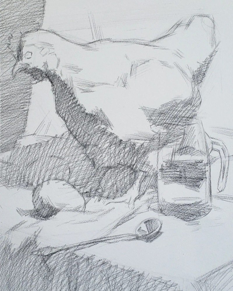 How to draw a hen easy step by step 2