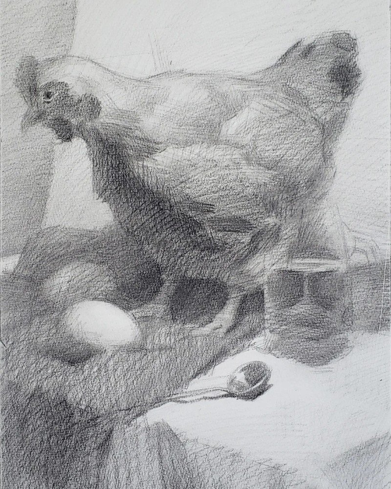 How to draw a hen easy step by step 4