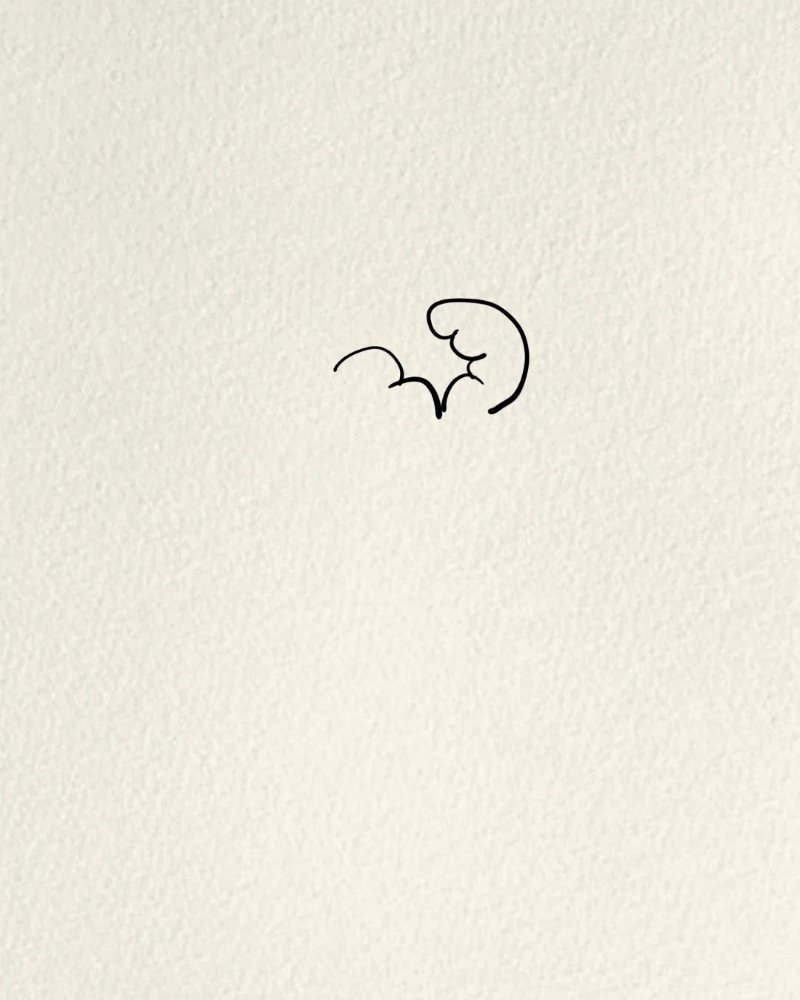 How to draw a hibiscus flower 1