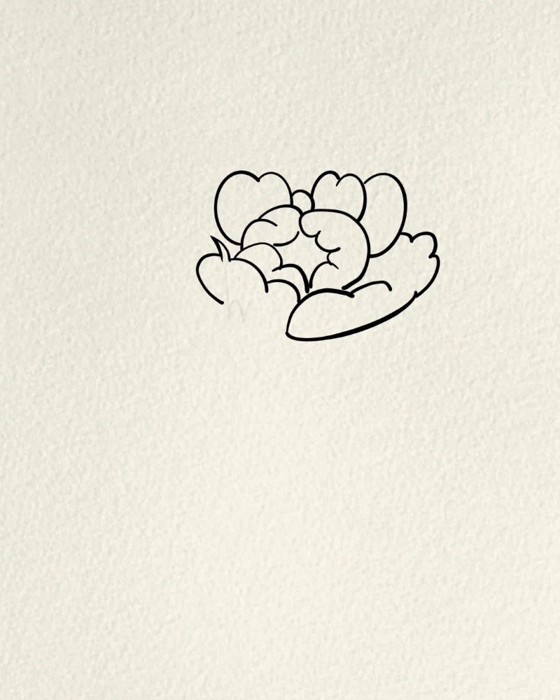 How to draw a hibiscus flower 2