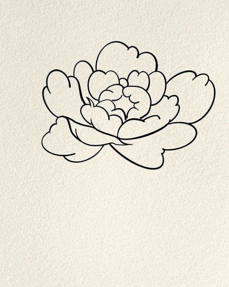 How to draw a hibiscus flower 3