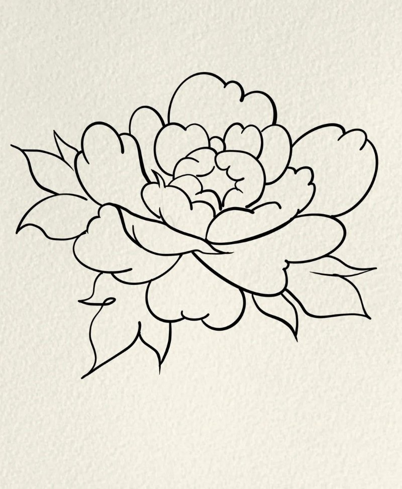 How to draw a hibiscus flower 4