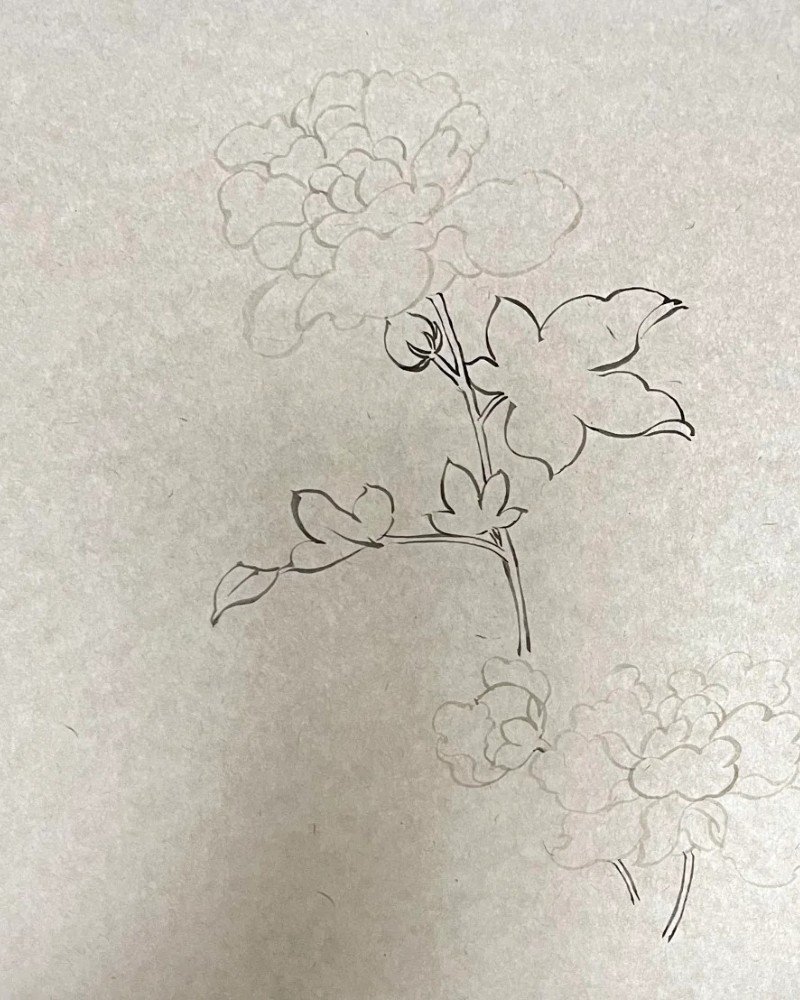 How to draw a hibiscus flower beautiful 1