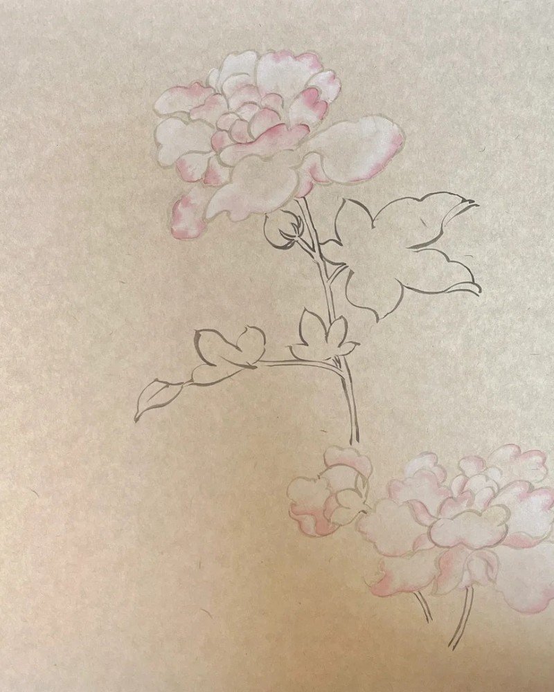 How to draw a hibiscus flower beautiful 2