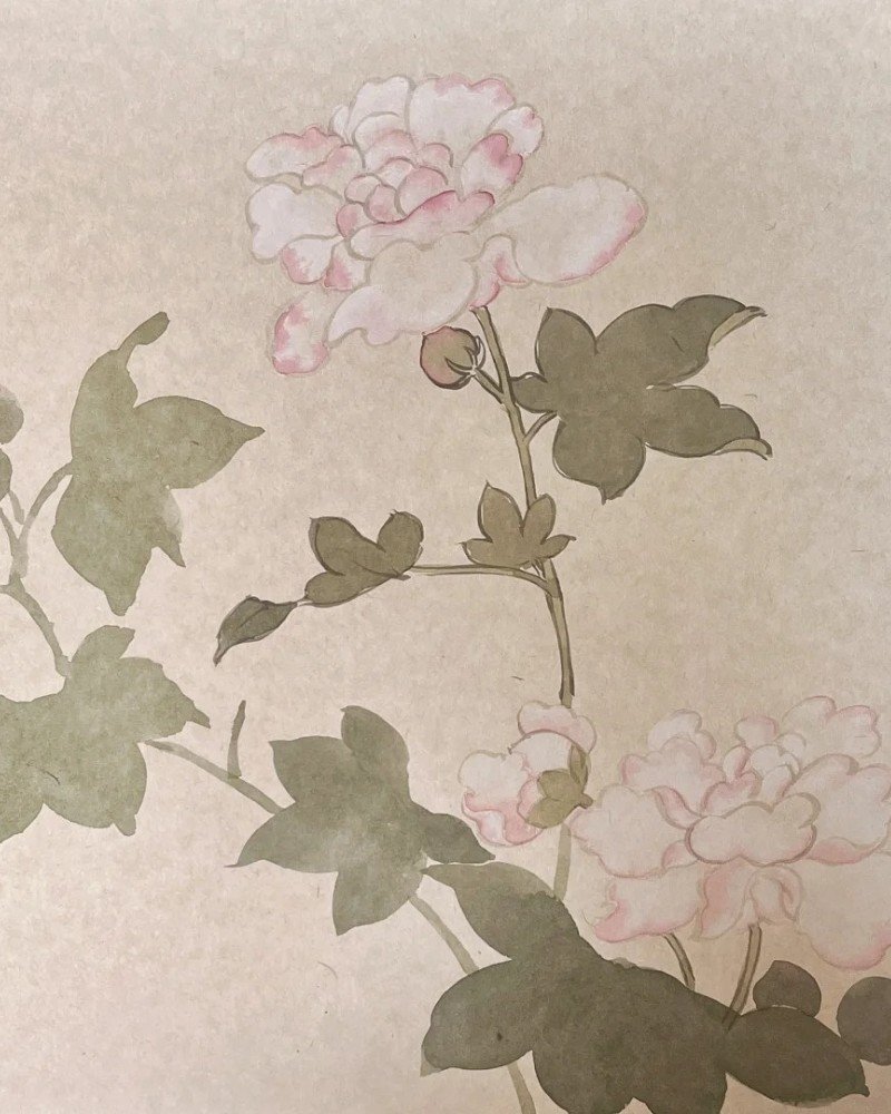 How to draw a hibiscus flower beautiful 3