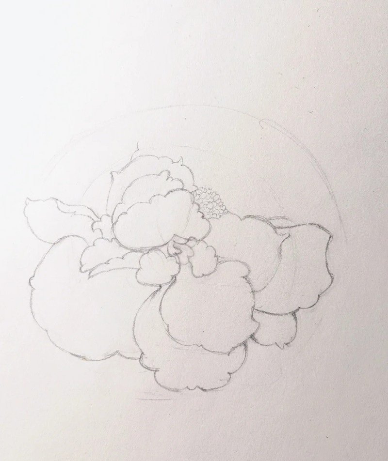 How to draw a hibiscus flower easy 1