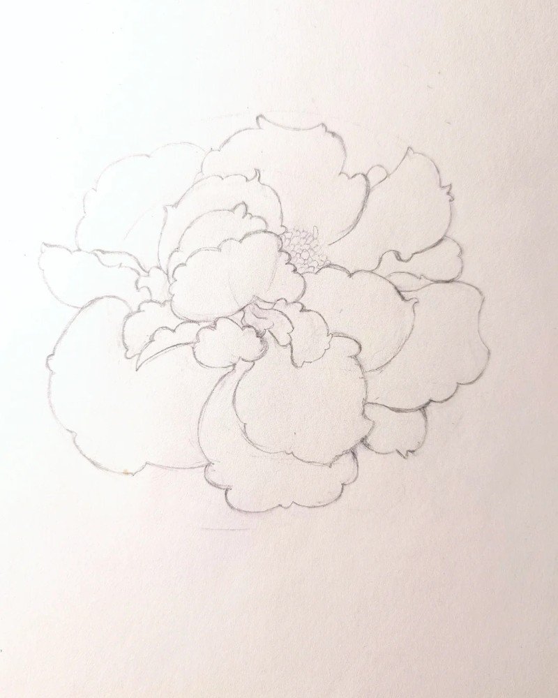 How to draw a hibiscus flower easy 2