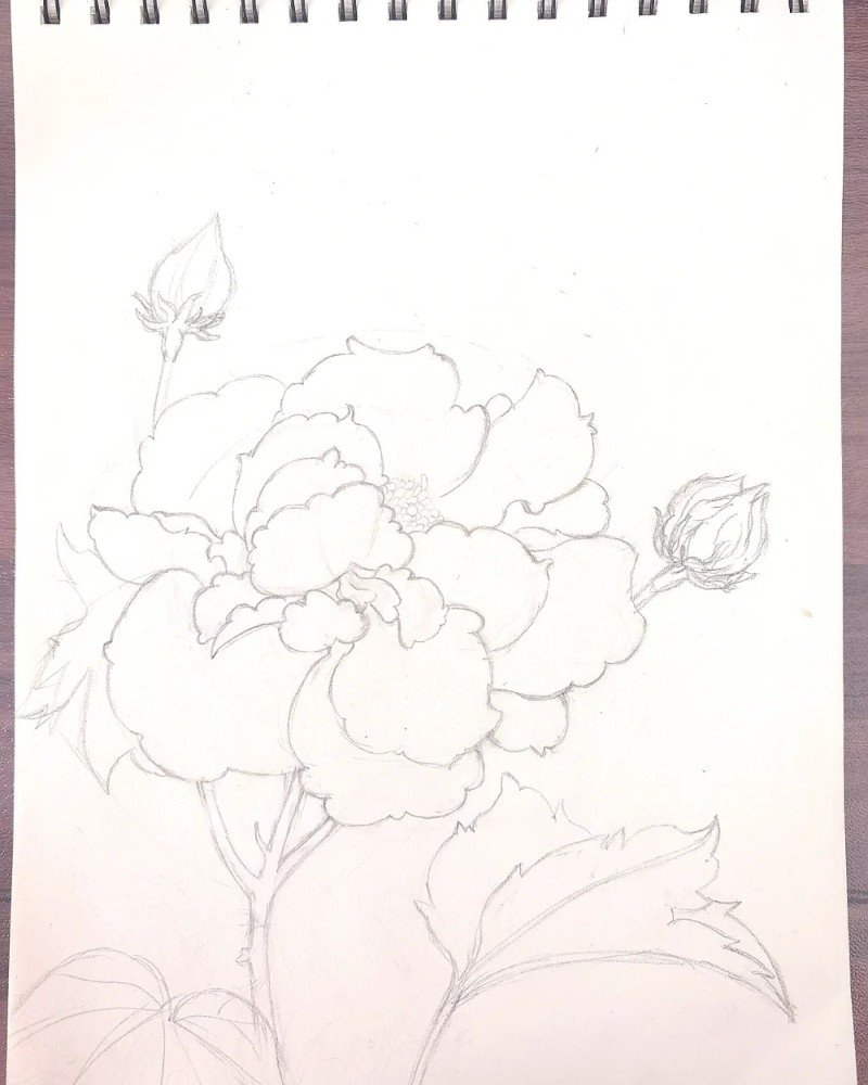 How to draw a hibiscus flower easy 3