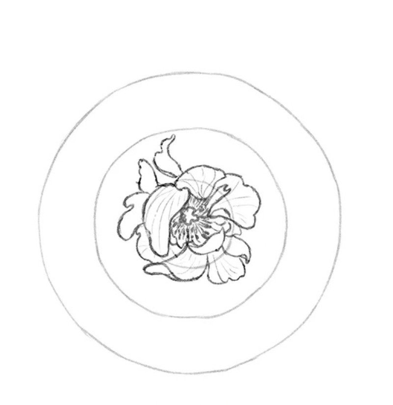 How to draw a hibiscus flower easy 2