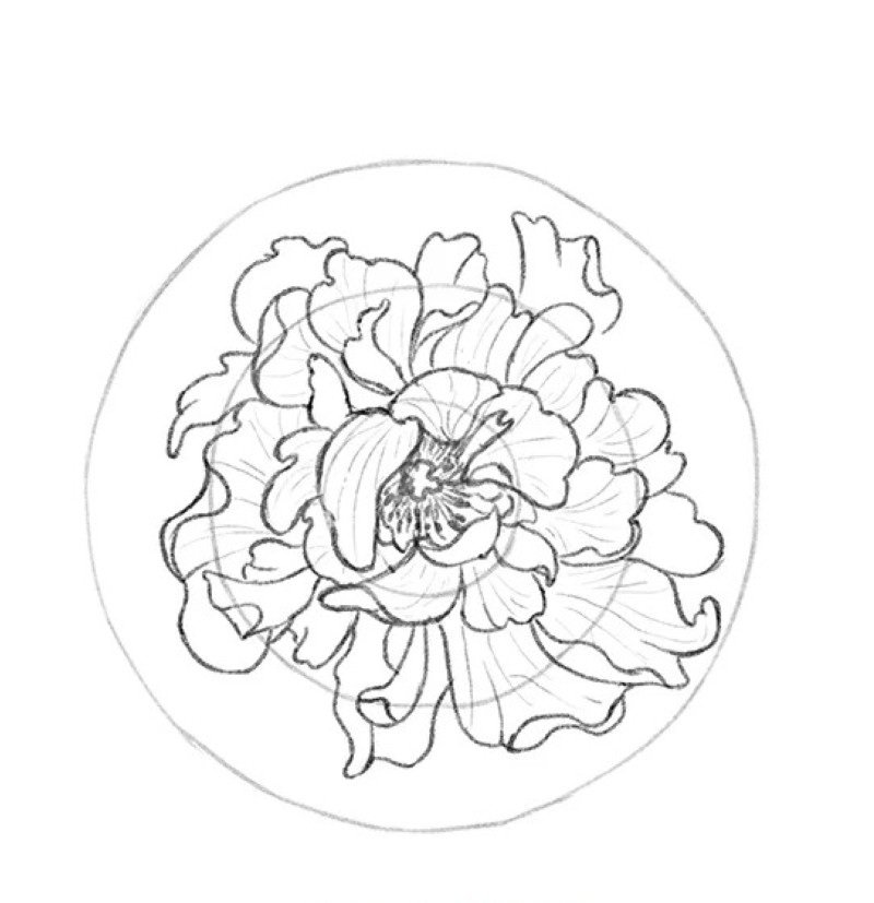 How to draw a hibiscus flower easy 3