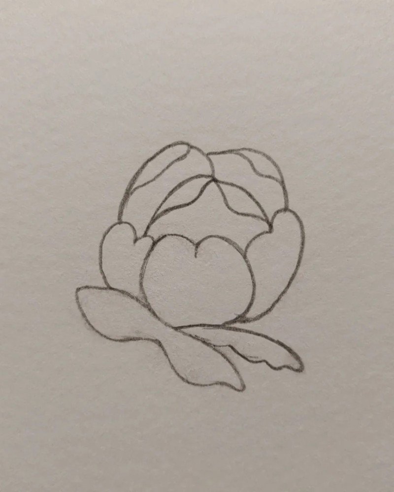 How to draw a hibiscus flower step by step easy 3
