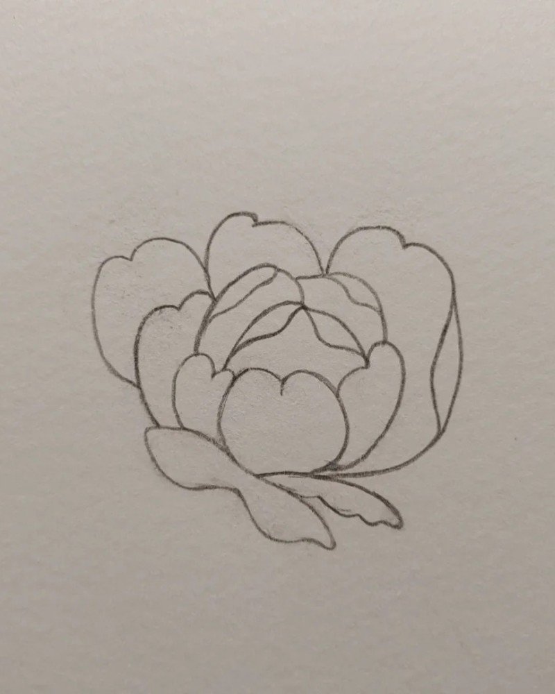 How to draw a hibiscus flower step by step easy 4